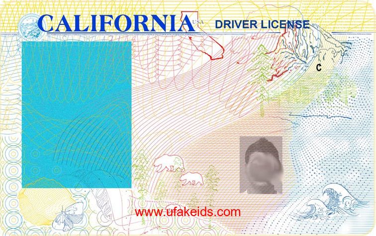 california drivers license 2019