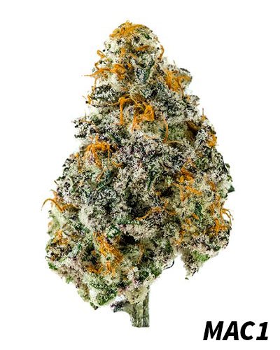 mac 1 weed strain